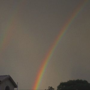 Meet your Posher, Harmony